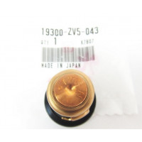 Thermostat d&#039;Origine Honda 30CV 4T