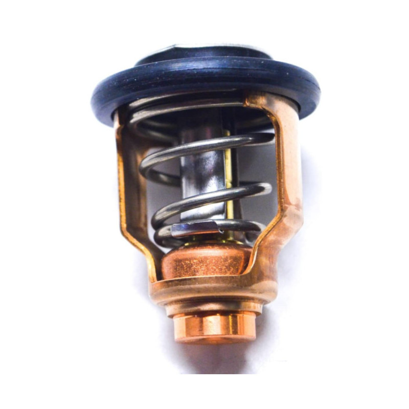 Thermostat Suzuki DF70