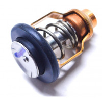 Thermostat Suzuki DF80