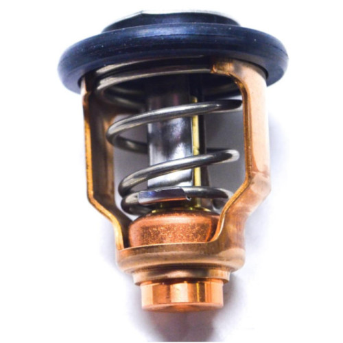 Thermostat Suzuki DF100