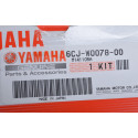 6CJ-W0078-01 Zestaw wirnika Yamaha F40 i F70